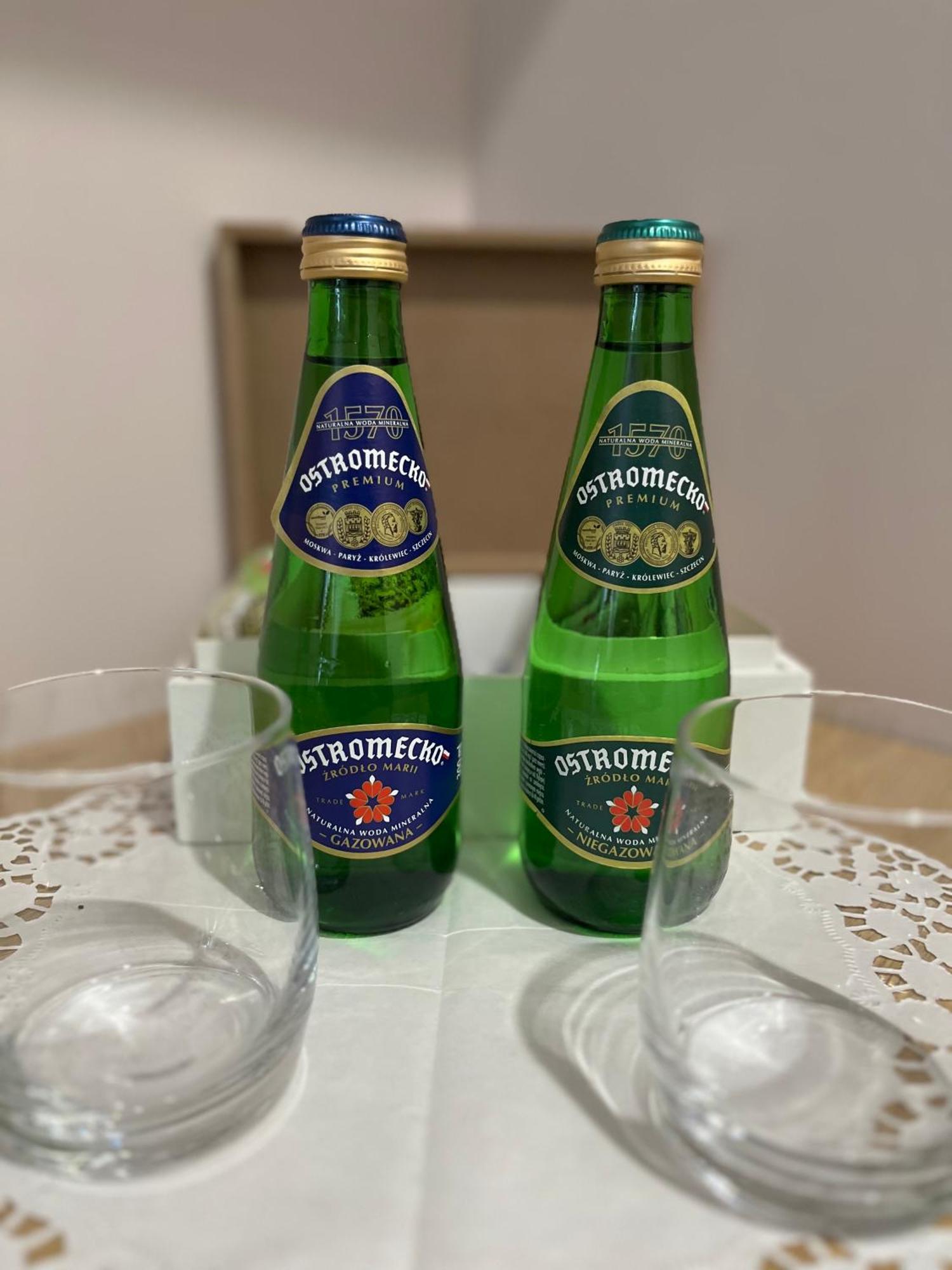Grudziadzkie Atelier Dla Podroznikow Appartement Buitenkant foto